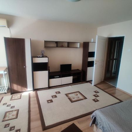 Eric'S Cozy Apartment Τιμισοάρα Εξωτερικό φωτογραφία