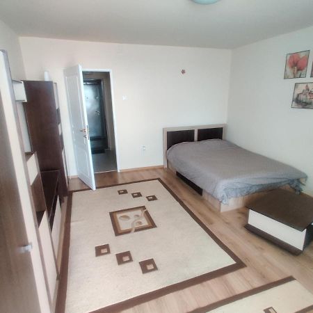 Eric'S Cozy Apartment Τιμισοάρα Εξωτερικό φωτογραφία