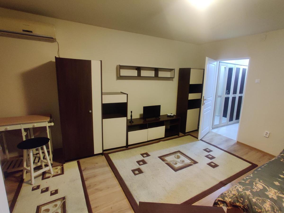 Eric'S Cozy Apartment Τιμισοάρα Εξωτερικό φωτογραφία