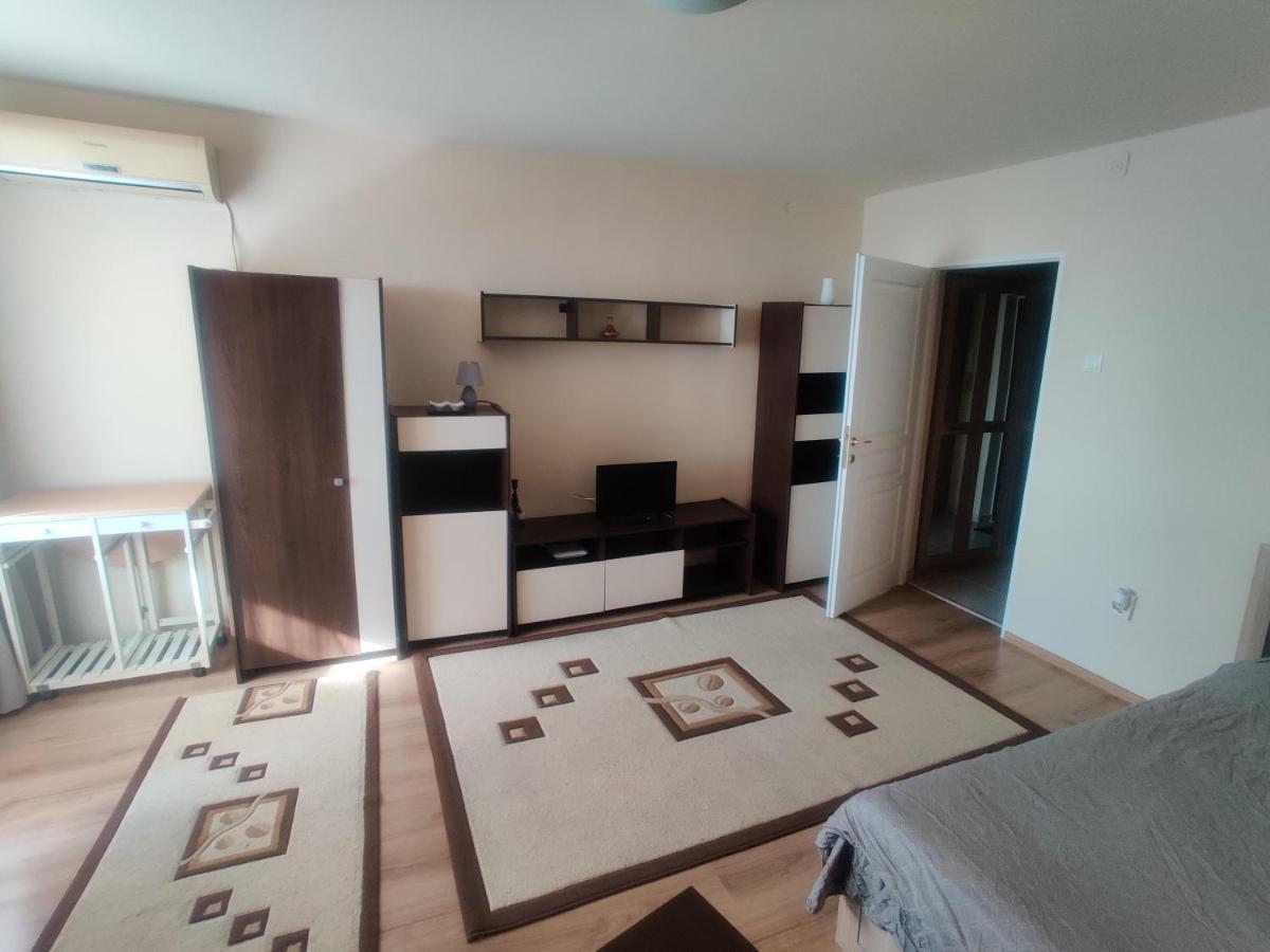 Eric'S Cozy Apartment Τιμισοάρα Εξωτερικό φωτογραφία