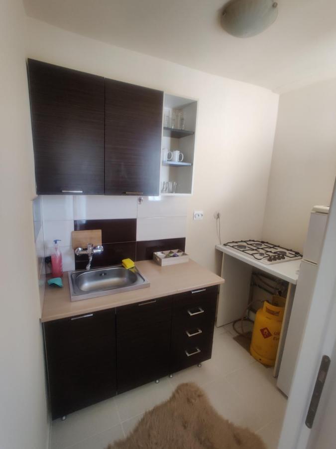 Eric'S Cozy Apartment Τιμισοάρα Εξωτερικό φωτογραφία