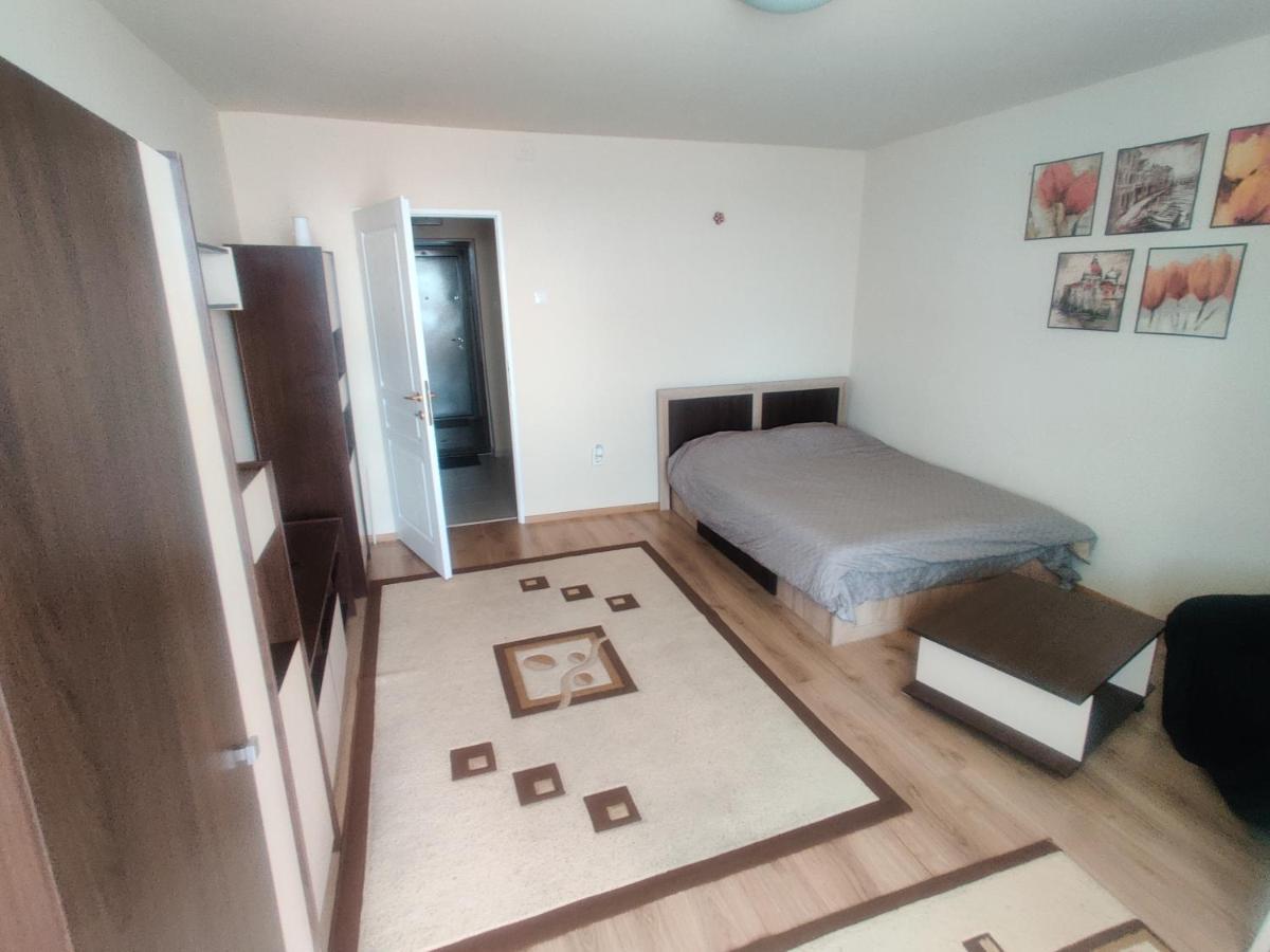 Eric'S Cozy Apartment Τιμισοάρα Εξωτερικό φωτογραφία